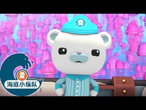 海底小纵队 - 水母探险记 | 2集完整版