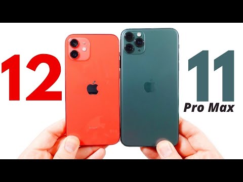 iPhone 12 vs iPhone 11 Pro Max Which is better?