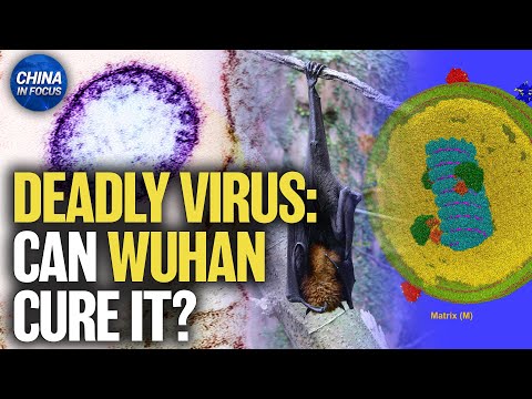 China Preps Nipah Virus Test Kits Despite Claiming No Cases | China in Focus