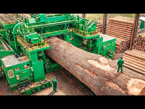 Inside the Largest Wood Sawmill Factory – How Plywood Is Made From Logs to Table (Full Process)