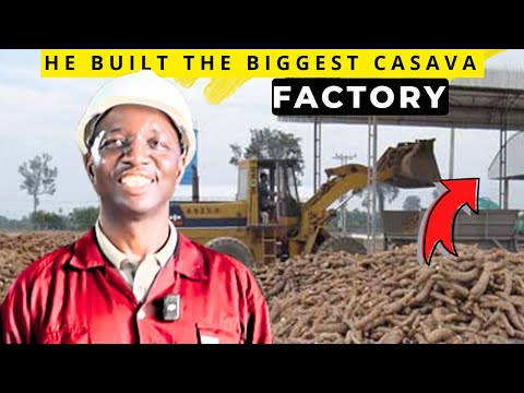 The largest Garri and Flour Processing Factory in Nigeria