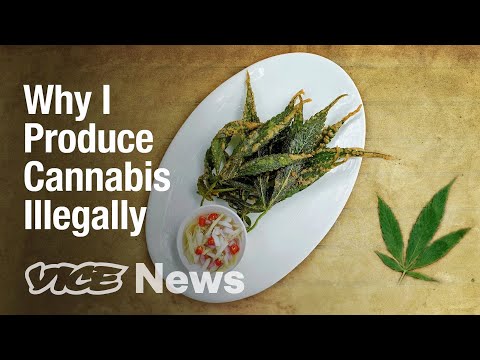 The Issues with Thailand’s Legal Cannabis