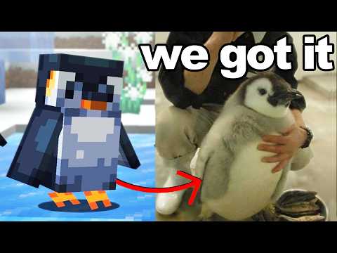 I Got My Brother His Minecraft Penguin in Real Life