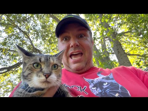 Pest Proofing a Coop & Other Fun Farm Stuff