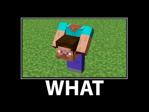 WAIT WHAT - Minecraft #8