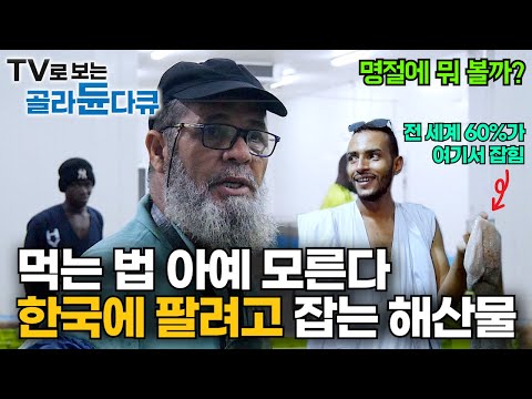 전 세계 생산량 60%나 되는데 먹는 방법 몰라서 한국에 수출하는 10배 비싼 해산물｜이거 완전 수리남 홍어 현실판?｜모리타니 문어잡이｜명절에 뭐 볼까?｜인간과 바다｜#골라듄다큐