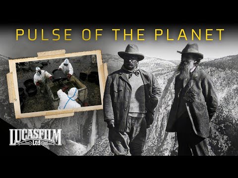 Ecology: Pulse of the Planet | Historical Documentary | Lucasfilm