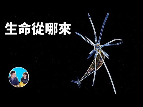 生命起源，地球上的生命究竟是如何產生的 | 老高與小茉 Mr & Mrs Gao