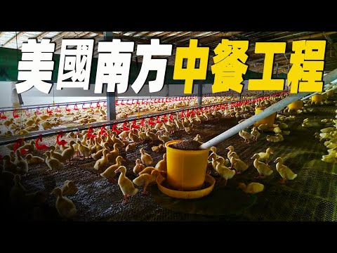 走進美國南方的唐人街中餐廳，探索美國中餐工程的秘密，食品工程一點也不簡單 #大脑洞记事