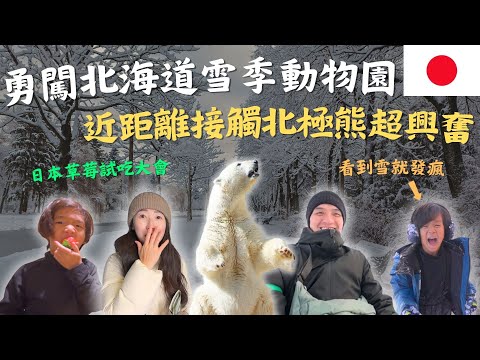 【北海道零下親子之旅】親子玩雪天堂設施多到玩不完!實測五大地區草莓評比,原來這裡最好吃!近距離觀賞雪地北極熊,全家超興奮!|北海道Vlog#日本旅遊#TheNorthShowLand#圓山動物園