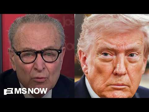 Sen. Schumer slams Trump and 'spineless Republicans' for holding up TSA pay