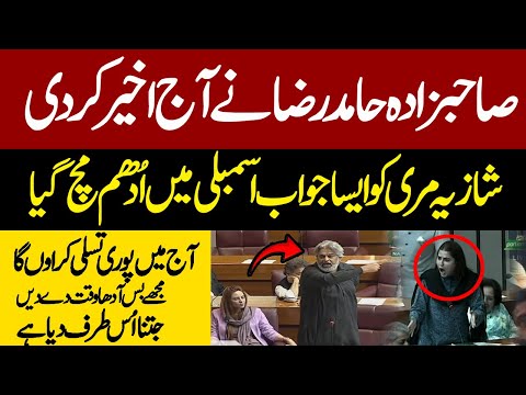 Sahibzada Hamid Raza Vs Shazia Marri | This Speech Will Be Remembered In History |National Assembly