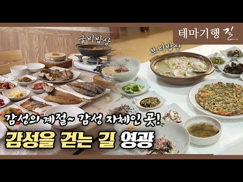 [테마기행 길] 감성을 걷는 길 영광 ㅣMBC충북ㅣ251107