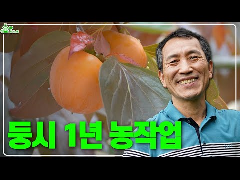 둥시 1년 농작업 순서!!ㅣ양재갑 멘토님이 알려주시는 감나무 농사