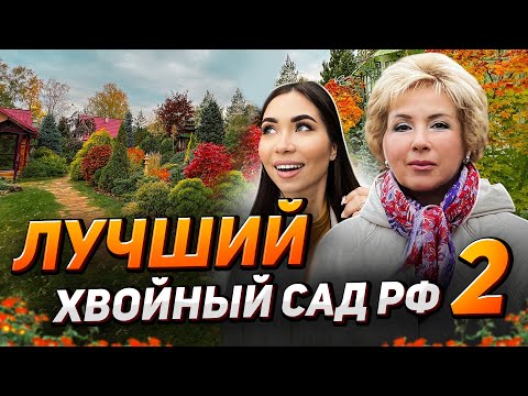 🌲How does Tatyana Volovik grow 600 varieties on one plot?