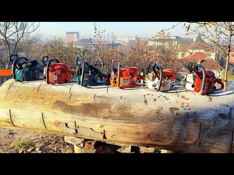 Stihl, Husqvarna, Solo, Dolmar, Makita - battle for under 70cc class King (GTG Sebiș December 2023)