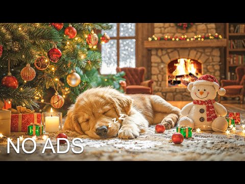 24 HOURS of Deep Sleep Dog Calming Music🐶🎵Anti Separation Anxiety Relief Music🎵Dog Music#dogmusic