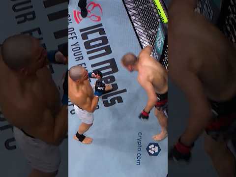 Quantos golpes entraram limpos nessa sequência do Carlos Leal? 🎯