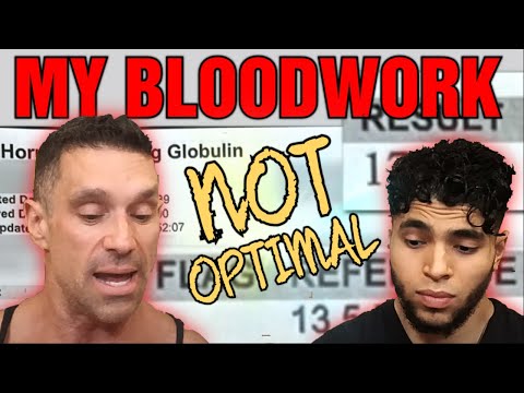 My Testosterone Results