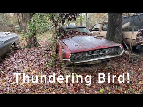 Will it run? 1967 Thunderbird sitting for 30 years!
