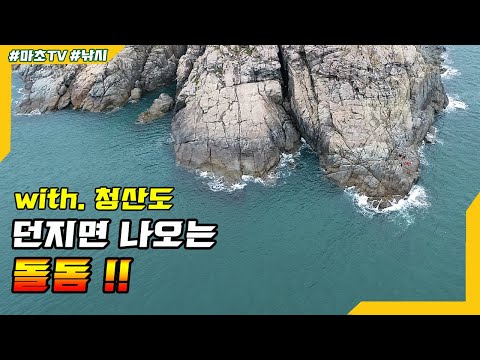 I can't take my eyes off the rock bream that comes out when I cast itㅣWando Cheongsando rock fish...