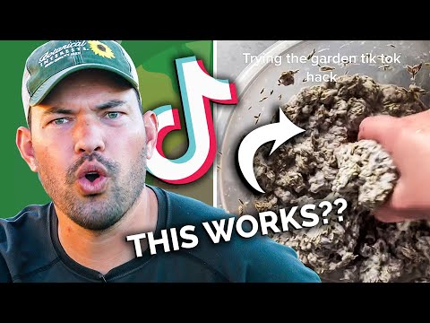 Gardener Reacts to TikTok Plant Hacks That...Work?