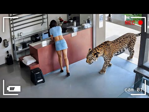 110 Incredible Moments Caught on CCTV Camera