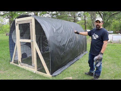 The Chickens MOVE into the HOOP COOP!