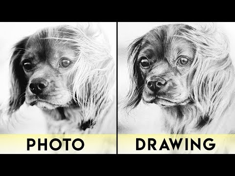 How to Draw Animals with Charcoal | REALISTIC DRAWING TUTORIAL