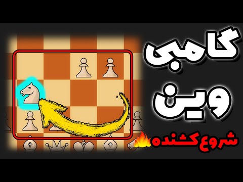 بهترین گشایش و گامبی سفید برای شروع بازی_آموزش گامبی وین