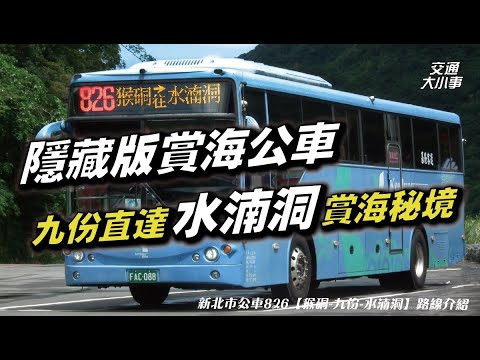 隱藏版賞海公車！從猴硐出發直達水湳洞秘境｜少人知道的賞海路線！搭公車深入猴硐、水湳洞之間的秘境｜《搭公車旅行趣》新北市公車 826【猴硐-水湳洞】路線介紹｜交通大小事
