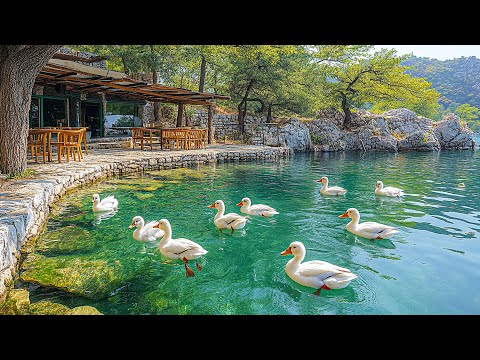 Simply listen for 4 minutes to release all stress – Heal Your Heart, Stop Overthinking and Anxiety🍃🌸