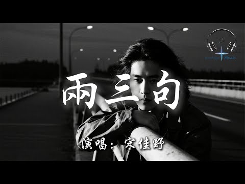 宋佳野 - 兩三句『趁著燈火不算清晰 月明星稀 談兩三句 關於錯過還是繼續 不求回答只求對視堅定』【動態歌詞MV】