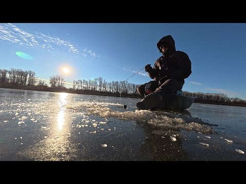Первый лёд 25-26, поймали ночную хозяйку реки на жерлицы, рыбалка с ночёвкой. #рыбалка #первый #лед