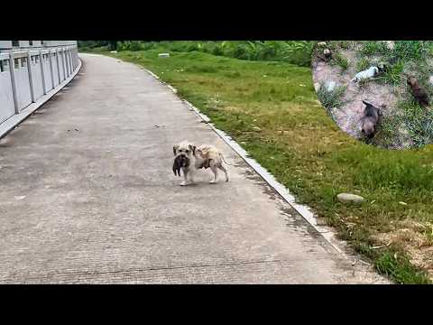 She held her child and cried in pain, stopping me to beg for help