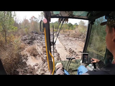 Its Time To Drain The Swamp!