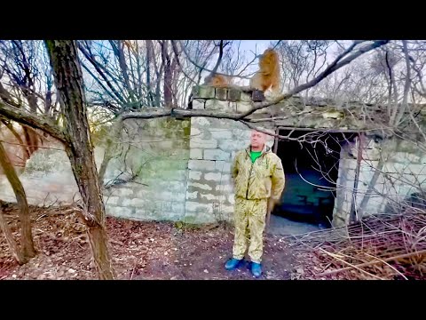 Олег Зубков убирает в саванне повернувшись спиной к ОГРОМНЫМ ЛЬВАМ, которые его окружили!!!