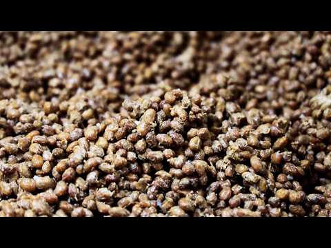 30년 청국장 명인이 알려주는 냄새 없는 청국장 끓이는 법!ㅣ#명물인생10