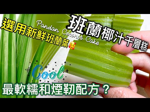 東南亞風情～班蘭椰汁千層糕（簡易做法）自家製口感超軟糯煙韌！How to make Pandan Coconut Cake? Tutorial for beginner!