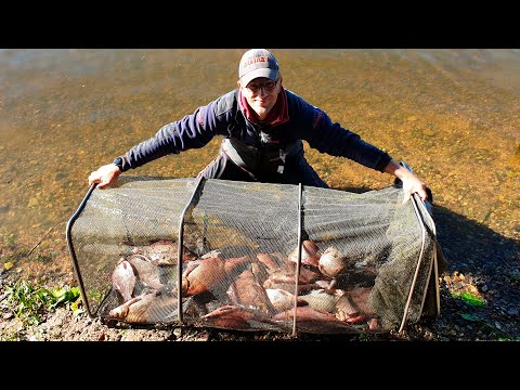 Ловля леща на р.Волга.  Как наловить леща на реке.  Рыбалка 2020