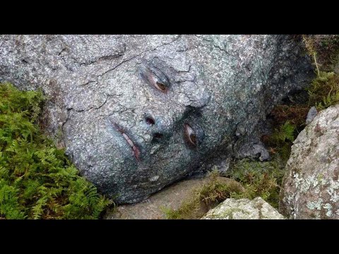 How To Beat The DEATH GAME In "The Hunger Games"