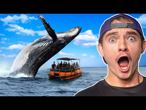 Top 100 Animals That Broke the Internet