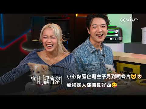 《晚吹 - 空肚講宵夜》奴才注意⚠️ 小心你屋企嘅主子見到呢條片🐱🐶 寵物定人都啱食好西😋