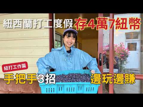 《找工篇》我怎麼在1年9個月存到4萬7紐 - New Zealand 紐西蘭打工度假 💰【呆丸雅婷Cupy】