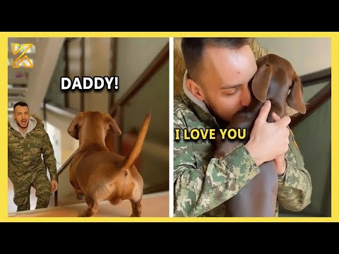 The Sweetest and Most Heartwarming Animals Reunion with Their Owners 🐾 That Will Melt Your Heart 💘