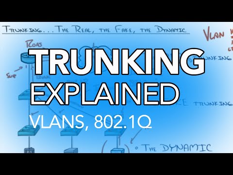 What is Trunking in Networking?