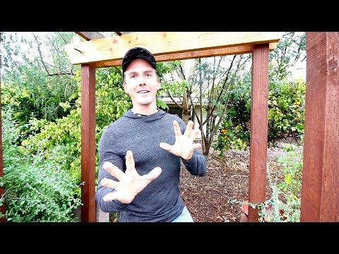 INCREDIBLE 200+ FRUIT TREE & URBAN GARDEN IN PHOENIX ARIZONA