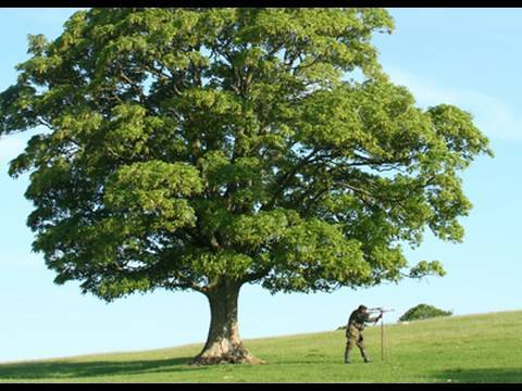 Fieldsports Britain : Stalking Castle Greystoke and rabbiting from a quadbike (Episode 3)