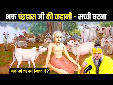भक्त चंद्रहास जी की कहानी - सच्ची घटना | Shri Hit Premanand Ji Maharaj #premanandji