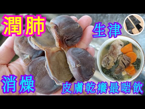 秋冬湯水❄皮膚乾癢最啱飲💯👍🏻【金銀菜陳腎豬展湯】💁🏻‍♂️潤肺生津🫁 消燥清熱💪🏼養胃消食⭐老少咸宜💖